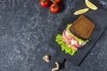 Sandwich with smoked salmon, tomato, onions and salad on stone background Royalty Free Stock Photo