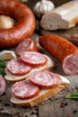 Sandwich with smoked sausage. Dry-cured sausage, bread and spices Royalty Free Stock Photo