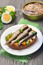 Sandwich with sprats and egg Royalty Free Stock Photo