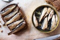 Sandwich with sprats Royalty Free Stock Photo