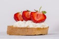 Sandwich of strawberry and cottage cheese , close up Royalty Free Stock Photo