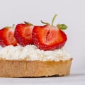 Sandwich of strawberry and cottage cheese on wooden table, close up Royalty Free Stock Photo