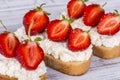 Sandwich of strawberry and cottage cheese on the wooden table, closeup Royalty Free Stock Photo