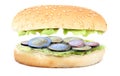 Sandwich stuffed with euro coins Royalty Free Stock Photo