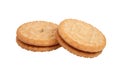 sandwich tasty cookies isolated