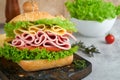 Sandwich. Tasty sandwich with ham or bacon, cheese, tomatoes, lettuce and grain bread. Delicious club sandwich or school lunch Royalty Free Stock Photo