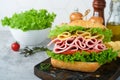 Sandwich. Tasty sandwich with ham or bacon, cheese, tomatoes, lettuce and grain bread. Delicious club sandwich or school lunch, Royalty Free Stock Photo