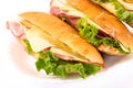 Sandwich time Royalty Free Stock Photo