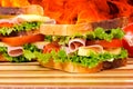 Sandwich time Royalty Free Stock Photo