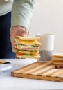 Sandwich toast bread slice hand hold cup coffee biscuit cheese morning Royalty Free Stock Photo