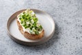 Sandwich on toast with fresh radish microgreen and cream cheese on grey background. Close up Royalty Free Stock Photo