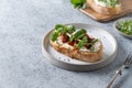 Sandwich on toast with fresh radish microgreen and cream cheese on grey background. Close up Royalty Free Stock Photo