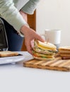 Sandwich toaster toast bread slice hand hold biscuit cheese morning Royalty Free Stock Photo