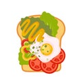 Sandwich top view. Burger toast for healthy breakfast or lunch on white background. Fast food elements, flat vector