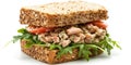 Sandwich with tuna salad and lettuce Royalty Free Stock Photo