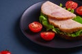 Sandwich with turkey ham meat, green salad and fresh cherry tomatoes slices on black plate, blue minimal background Royalty Free Stock Photo