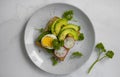 Sandwich  vegetable egg, lunch organic , tasty radish greens on old background Royalty Free Stock Photo