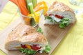Sandwich with vegetables and cheese Royalty Free Stock Photo