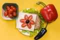 Sandwich with vegetables on a yellow background Royalty Free Stock Photo