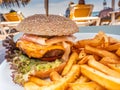 Sandwich with very seasoned meat burger in a plate with french fries Royalty Free Stock Photo