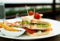 Sandwich of white bread with vegetables and fries Royalty Free Stock Photo