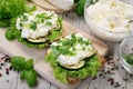 Sandwich with white cream cheese and herbs, chives and basil on a rustic wooden board Sandwich of cheese with herbs. Wooden backgr