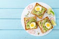 Sandwiches with avocado guacamole, fresh radish, boiled egg, chia and pumpkin seeds. Diet breakfast. Delicious and healthy plant-b Royalty Free Stock Photo