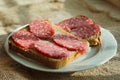 Sandwiches of black bread with smoked sausage lies on a plate Royalty Free Stock Photo