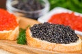 Sandwiches with black sturgeon and red salmon caviar close up Royalty Free Stock Photo