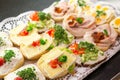 Sandwiches with cold cuts on a tray Royalty Free Stock Photo