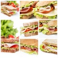 Sandwiches collage Royalty Free Stock Photo
