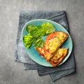 Sandwiches cooked in the oven with tomato, cheese and herbs on a plate