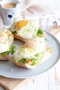 Sandwiches with cream cheese, fresh green salad, salmon and baked egg Royalty Free Stock Photo