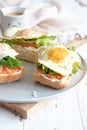 Sandwiches with cream cheese, fresh green salad, salmon and baked egg Royalty Free Stock Photo