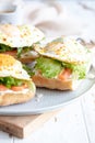 Sandwiches with cream cheese, fresh green salad, salmon and baked egg Royalty Free Stock Photo