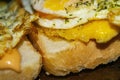 Sandwiches of fried eggs with dill and sauce on wheat bread. Close up Royalty Free Stock Photo