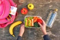 Sandwiches, fruits and vegetables in food box, backpack Royalty Free Stock Photo