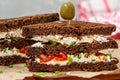 Sandwiches with healthy rye bread, feta and green onions Royalty Free Stock Photo