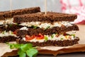 Sandwiches with healthy rye bread, feta and green onions Royalty Free Stock Photo