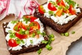 Sandwiches with healthy rye bread, feta and green onions Royalty Free Stock Photo