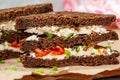 Sandwiches with healthy rye bread, feta and green onions Royalty Free Stock Photo