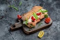 Sandwiches with homemade ciabatta bread, salted salmon fish, parmesan cheese, capers, cherry tomatoes and arugula, Restaurant menu Royalty Free Stock Photo