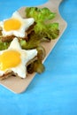 Sandwiches made of brown bread and fried eggs