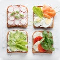 Sandwiches with mascarpone cheese, cucumber, radish, egg, caprese salad on a white background Royalty Free Stock Photo