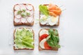 Sandwiches with mascarpone cheese, cucumber, radish, eggs, caprese salad, salmon on a white background Royalty Free Stock Photo