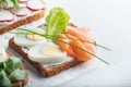 Sandwiches with mascarpone cheese, eggs, salmon, radish, caprese salad on a white background. Close up Royalty Free Stock Photo
