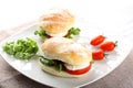 Sandwiches with mozzarella, tomato and lettuce Royalty Free Stock Photo
