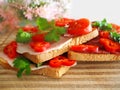 Sandwiches with pastrami and vegetables Royalty Free Stock Photo