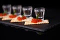 Sandwiches with red caviar with butter and a leaf of mint from cracker with glasses of vodka on a slate plate on a dark background