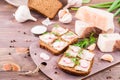 Sandwiches from rye bread, salted bacon, radish and dill Royalty Free Stock Photo